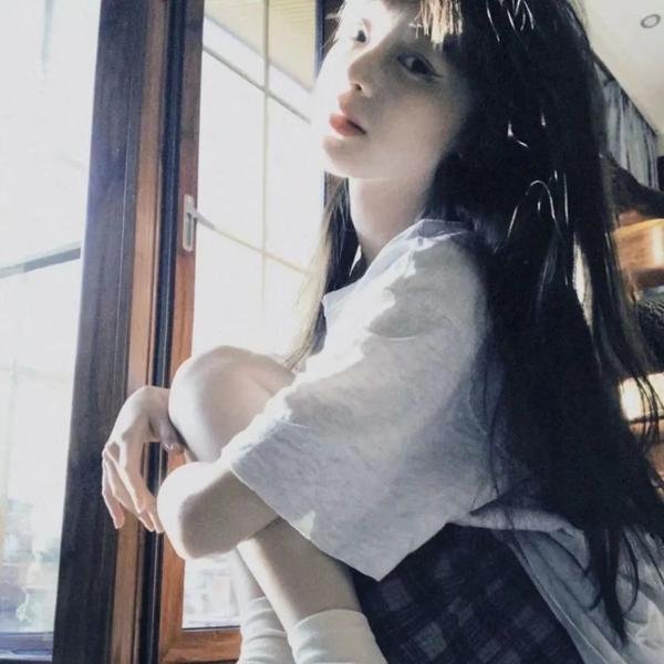 认识狗狗